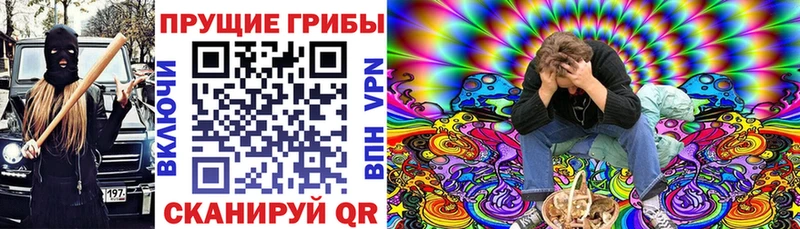 Псилоцибиновые грибы мицелий  Харовск 